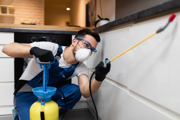 Best Mosquito Control Services  in Richwood, WV