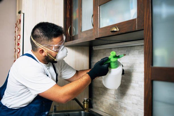 Best Wildlife Control Services  in Richwood, WV