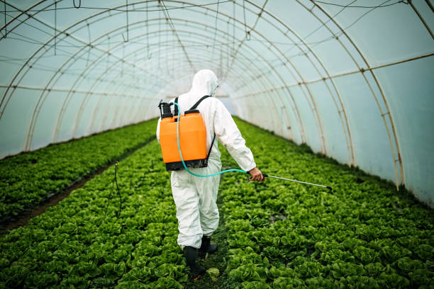 Best Residential Pest Control  in Richwood, WV