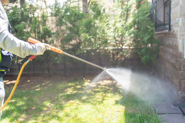 Best Local Pest Control Services  in Richwood, WV