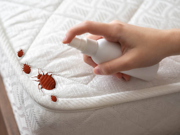 Best Cockroach Control Services  in Richwood, WV